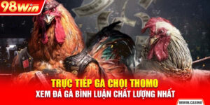 Trực Tiếp Gà Chọi Thomo - Xem Đá Gà Bình Luận Chất Lượng Nhất